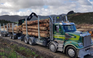 Onboard-weighing-system-for-logging-trucks-trailers-loadsense-load-cell-scales